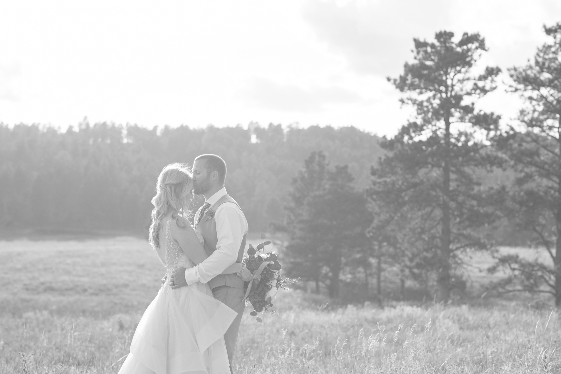 dustin + cahri MARRIED!! Custer State Park wedding Studio LB